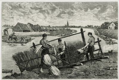 作家で美術評論家のカミーユ・ルモニエ（1844-1913）が書いた物語「La Belgique」の挿絵として、エミール・クラウスが描いたもの。 作： Emile Claus
