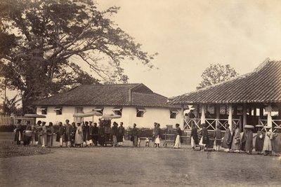 結婚式の行列、中国コーチン、1866 年。 作： Emile Gsell