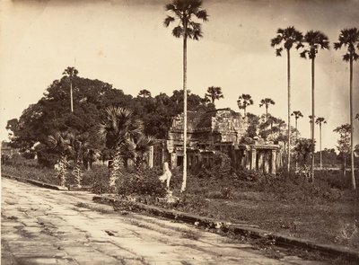 1866年、南側の外部小枝。 作： Emile Gsell