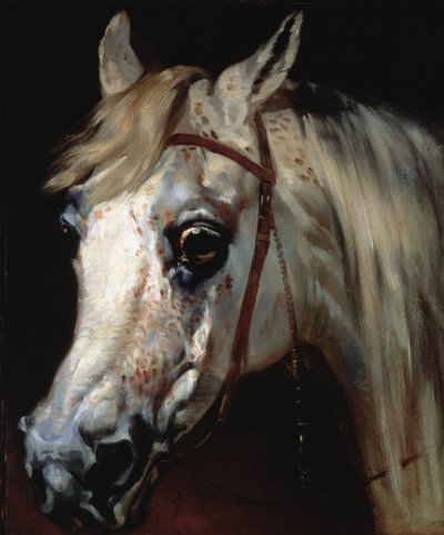 アラブの馬の頭部 1840-50年頃 （油彩・キャンバス） 作： Emile Jean Horace Vernet