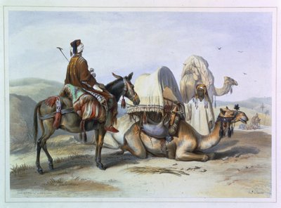 パナマのレーナートが刻んだ「ナイルの谷」のイラスト、ホデシュのラクダが乗ったカフィラ。 Lemercier、1848 作： Emile Prisse d