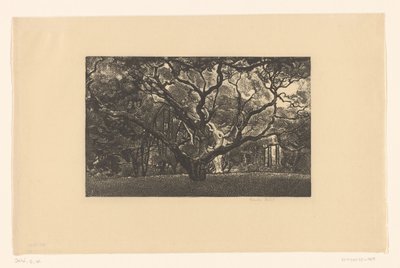 古い木 作： Emilius Wilhelmus Dehé (signed by artist)