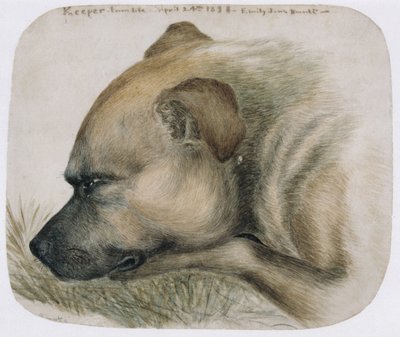 キーパー-人生から、1838（紙に鉛筆とトイレ） 作： Emily Bronte
