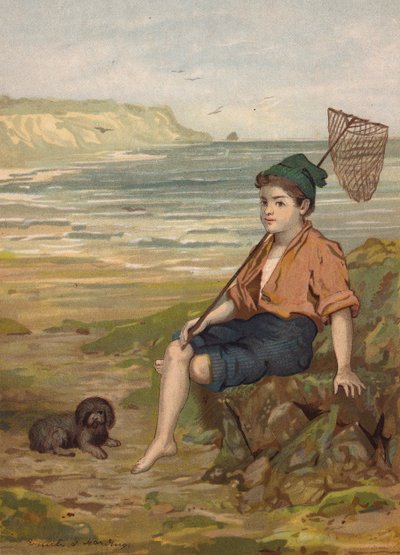 海辺で漁網を持つ少年（クロモリト） 作： Emily Jane Harding Andrews