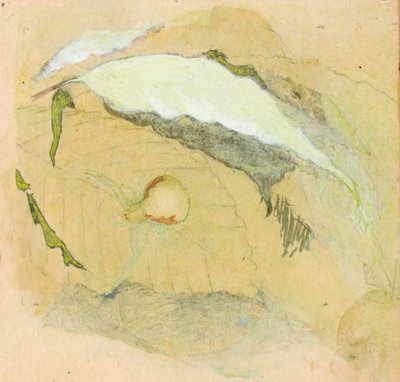 磁器-白蜘蛛、19 世紀後半から 20 世紀初頭。 作： Emma Beach Thayer