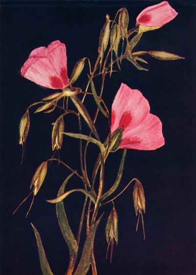 春の別れ、1915年、1915年 作： Emma Graham Clock