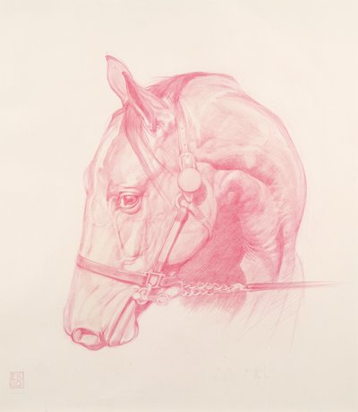 ポートレートヘッド、2010年（紙に赤いチョーク） 作： Emma Kennaway