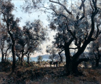 キャップマーティン周辺のオリーブの木、1891年。 作： Emmanuel Lansyer