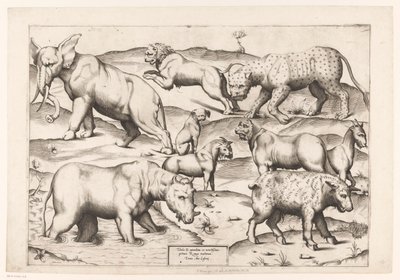 九匹の動物 アンティーク壁画の動物たち（シリーズタイトル） Speculum Romanae Magnificentiae (シリーズ名) 作： Enea Vico (attributed to)