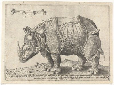 ノイショールン Rhinocerus (オブジェクトのタイトル) 作： Enea Vico