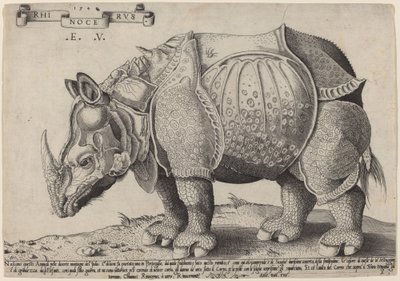 サイ 作： Enea Vico after Albrecht Dürer
