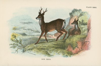 次のアーティストによるアート作品 English School