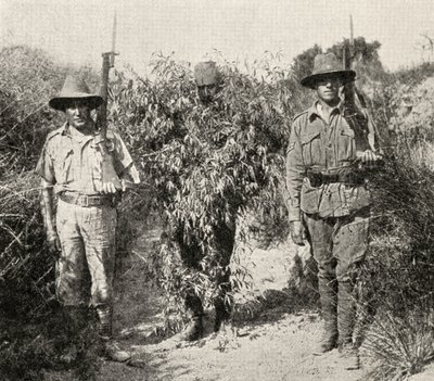 「大戦争：歴史」第19巻、1916年から、アンザック軍に捕獲された後に監禁されている茂みを装ったトルコの狙撃兵 作： English Photographer