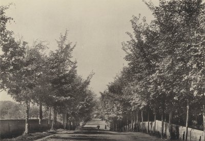 Aldeburgh, Westfields Avenue (白黒写真) 作： English Photographer