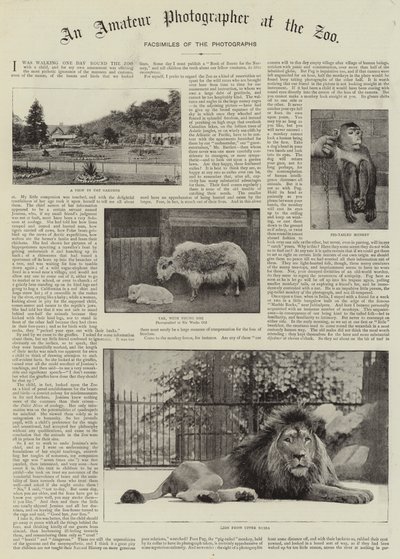 動物園のアマチュア写真家 作： English Photographer