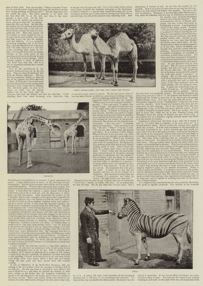 動物園のアマチュア写真家 作： English Photographer