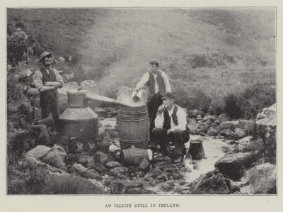 アイルランドでの不法行為 作： English Photographer