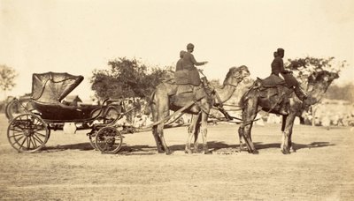 ラクダの馬車、1860年頃（写真製版 作： English Photographer