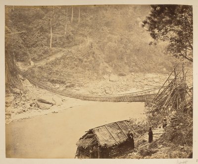 ブータンに向かうティースタ川に架かる杖の吊り橋。  ダージリンの景色。 1870年代 作： English Photographer