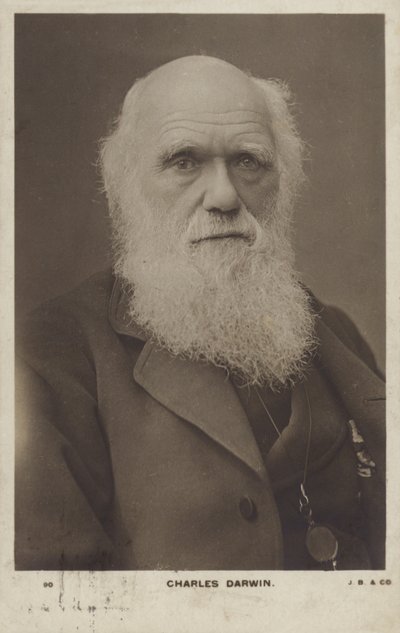 チャールズダーウィン（1809-1882）、イギリスの自然主義者 作： English Photographer