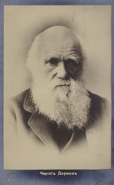 チャールズダーウィン（1809-1882）、イギリスの自然主義者 作： English Photographer