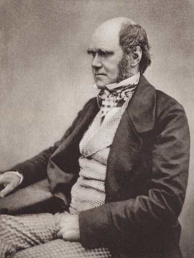 チャールズ・ダーウィン、肖像画、1854年頃、Maull  Foxの写真より（モノクロ写真） 作： English Photographer