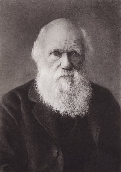 チャールズ・ダーウィン、ポートレート、1880年頃（モノクロ写真 作： English Photographer