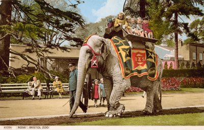 ブリストル動物園でゾウのロージーに乗る子供たち（写真 作： English Photographer