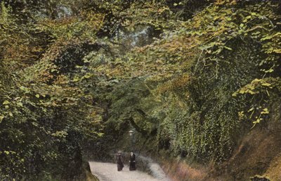 チャインホロー、シャンクリン 作： English Photographer