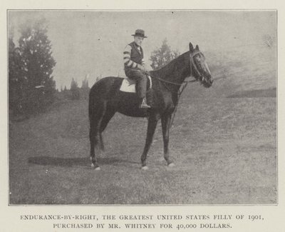 ホイットニー氏が40,000ドルで購入した、1901年の米国最大のフィリーである右の持久力 作： English Photographer