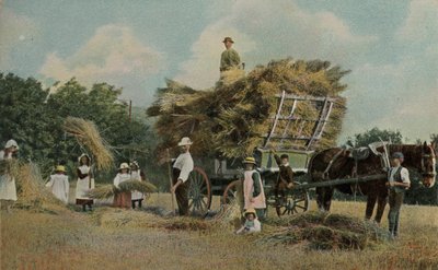 畑で収穫する農場労働者 作： English Photographer