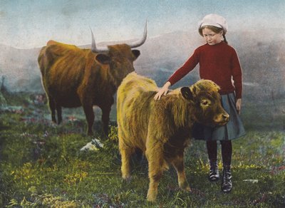 子牛をあやす少女（カラー写真） 作： English Photographer