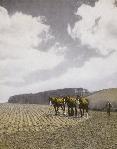 春のハローワーク（モノクロ写真 作： English Photographer