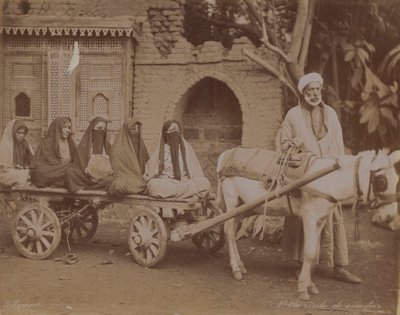 馬車、カイロ、1893 作： English Photographer