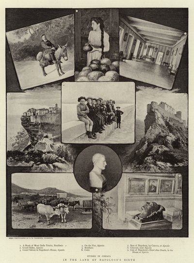 ナポレオンの誕生の地で 作： English Photographer