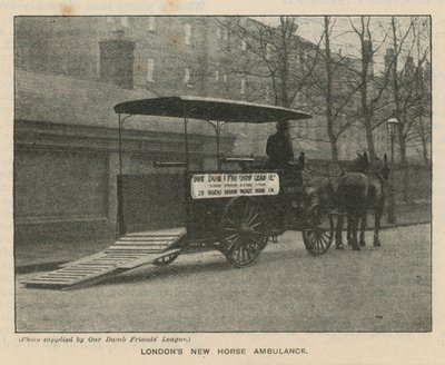 ロンドンの新しい馬の救急車 作： English Photographer