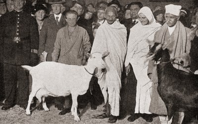 マハトマガンジーは1931年に弟子のマドレーヌスレイドと2頭の山羊とともにイギリスのロンドンに到着しました。 作： English Photographer