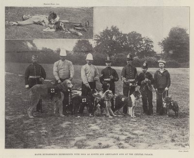 リチャードソンズ少佐がクリスタルパレスで犬をスカウトと救急車の補助として実験 作： English Photographer