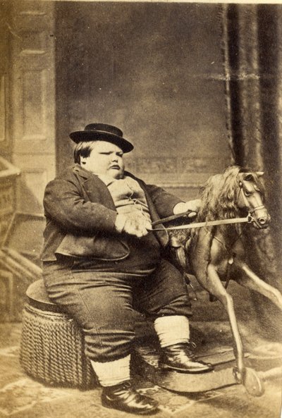 1870年代のロッキングホースでマスターリチャードビーナム（アルブメンプリント） 作： English Photographer