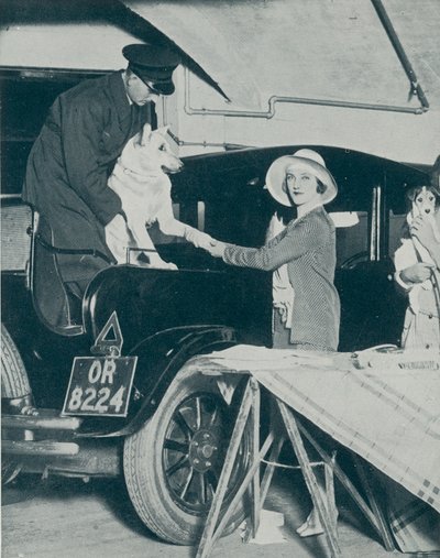 犬を駐車する 作： English Photographer