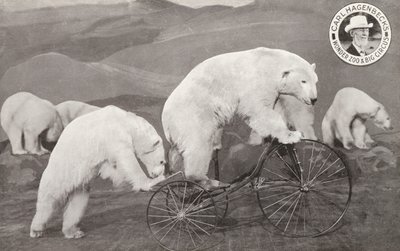三輪車に乗るホッキョクグマ（Carl Hagenbeck