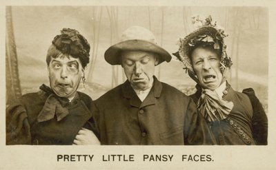 かわいいパンジーの顔（モノクロ写真） 作： English Photographer