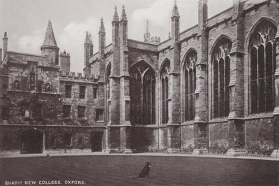Quadrangle New College、オックスフォード 作： English Photographer