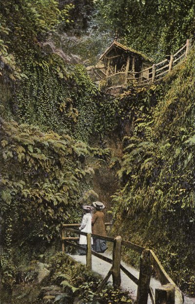 シャンクリン中国 作： English Photographer