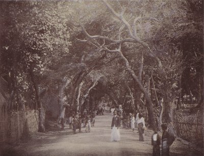 Skinners Road、コロンボ（カラー写真） 作： English Photographer