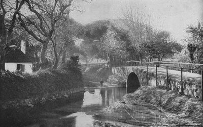 南アフリカの様子The Bridge, Mowbray (モノクロ写真) 作： English Photographer