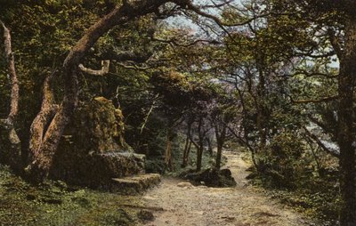 地すべりの石座 作： English Photographer