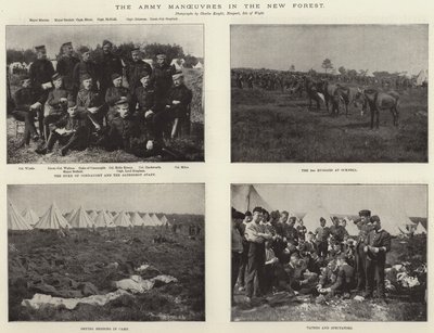 新しい森での軍の作戦 作： English Photographer