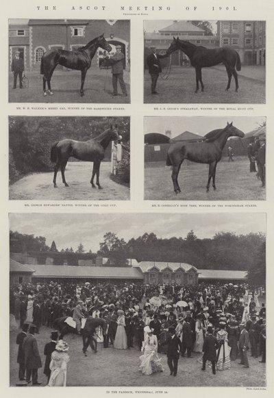 1901年のアスコット会議 作： English Photographer