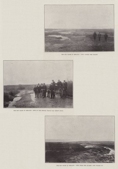アイルランドの沼地スライド 作： English Photographer